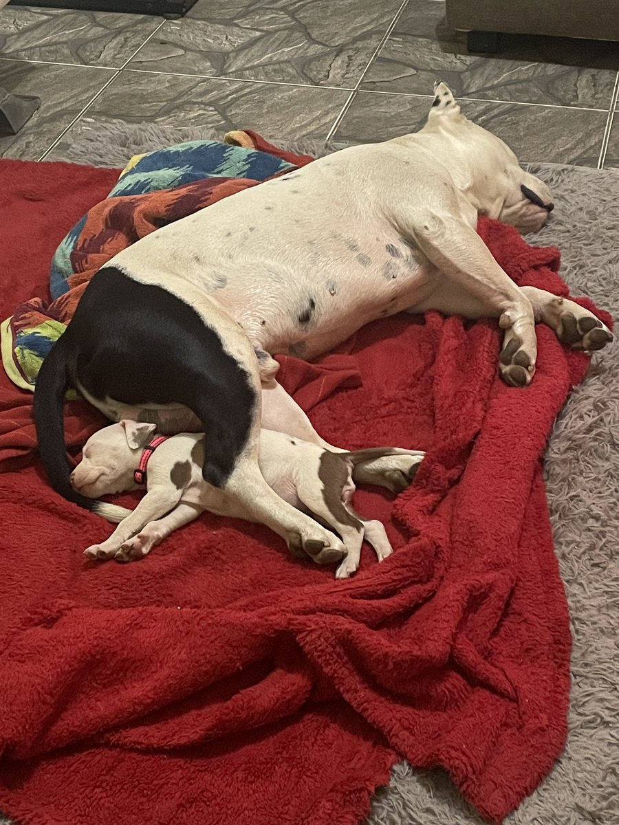 Few minutes later… 😂🥰