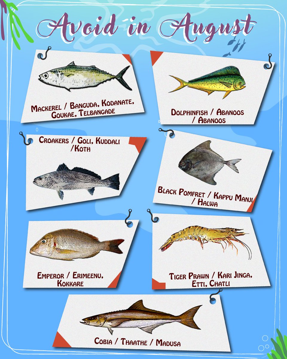 Know Your Fish tweet media