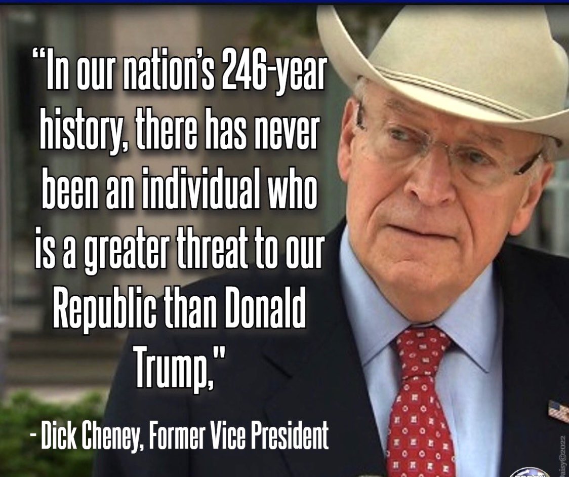 dianeeldredge99's tweet photo. @RpsAgainstTrump Awesome!!! The only way #FoxNews addicts will be told the Truth, is through commercials! Truth 👇👇 #VoteForLizCheney 🇺🇸 https://t.co/1ffO1TgoGh