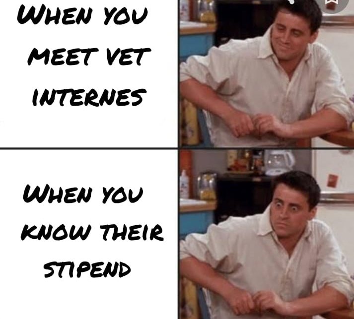 Our government is always animal lover then why it's saviours are always suffered 
#Increase_Guj_Vet_Stipend 
#guj_veterinary_students_on_strike 
#guj_vet_union 
<a href="/CMOGuj/">CMO Gujarat</a> <a href="/RaghavjiPatel/">Raghavji Patel</a> <a href="/KanuDesai180/">Kanu Desai</a> <a href="/CRPaatil/">C R Paatil</a> <a href="/Bhupendrapbjp/">Bhupendra Patel</a> <a href="/ndtv/">NDTV</a> <a href="/sandeshnews/">Sandesh</a> <a href="/tv9gujarati/">Tv9 Gujarati</a> <a href="/VtvGujarati/">VTV Gujarati News and Beyond</a>
<a href="/PMOIndia/">PMO India</a>