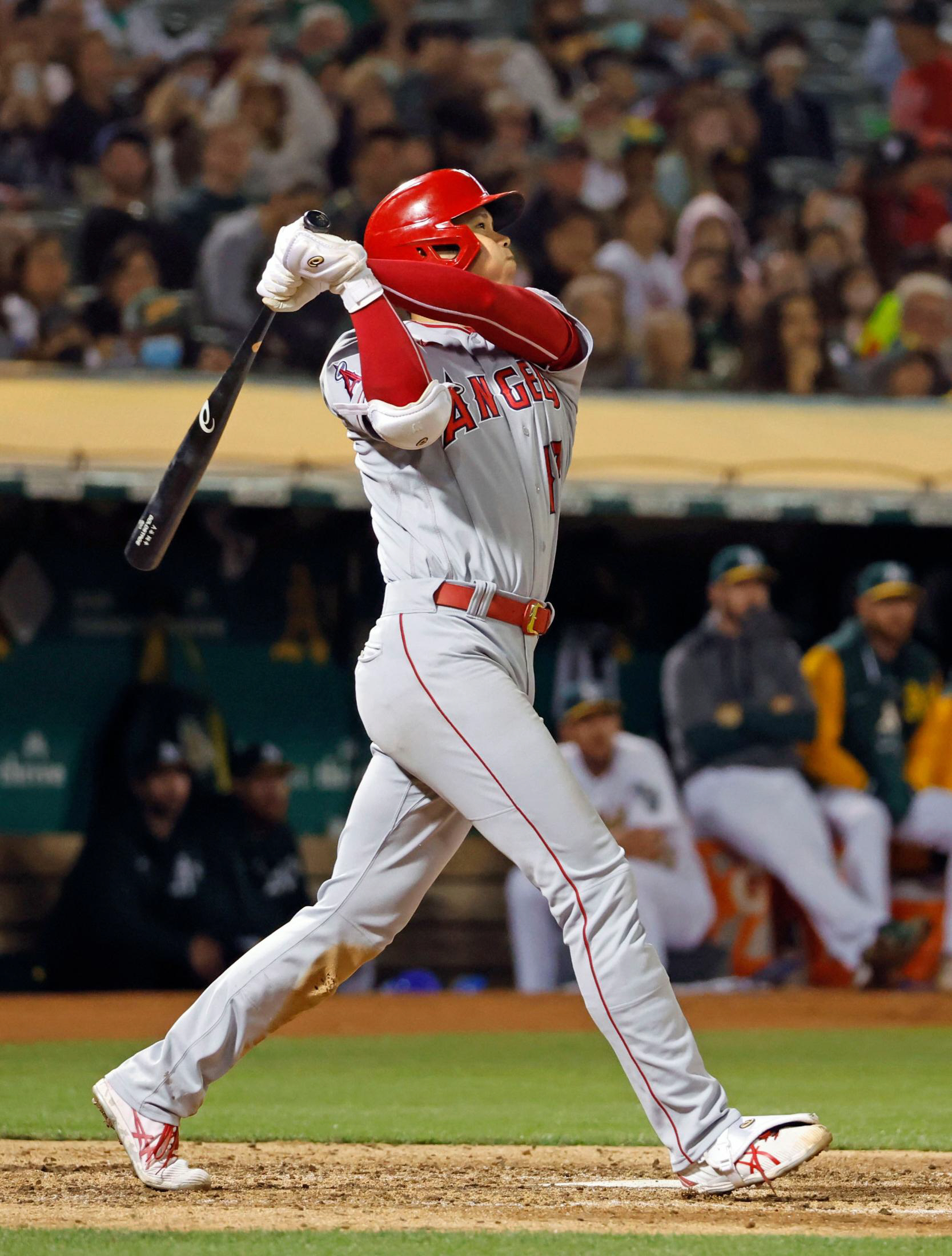大谷翔平ついに偉業達成ベーブ・ルースに並んだ!!野球史に刻む 大谷翔平ついに偉業達成ベーブ・ルースに並んだ!!野球史に刻む