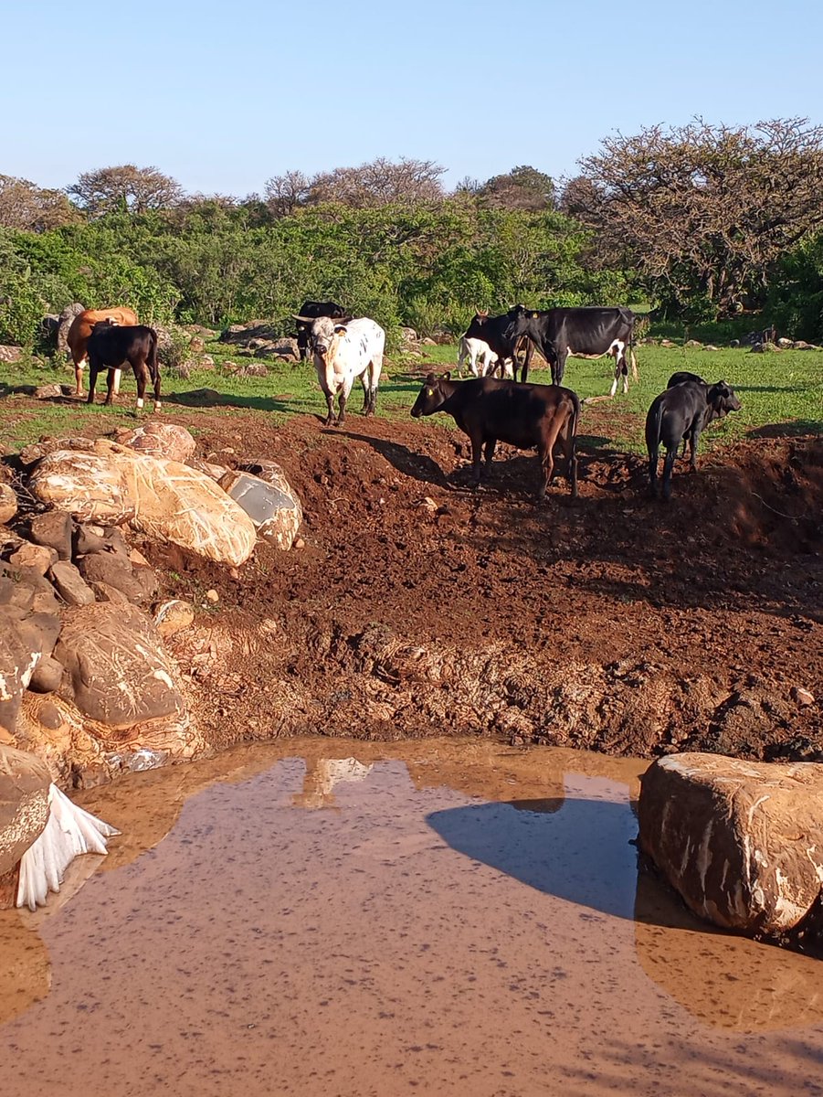 MundoH511's tweet image. 