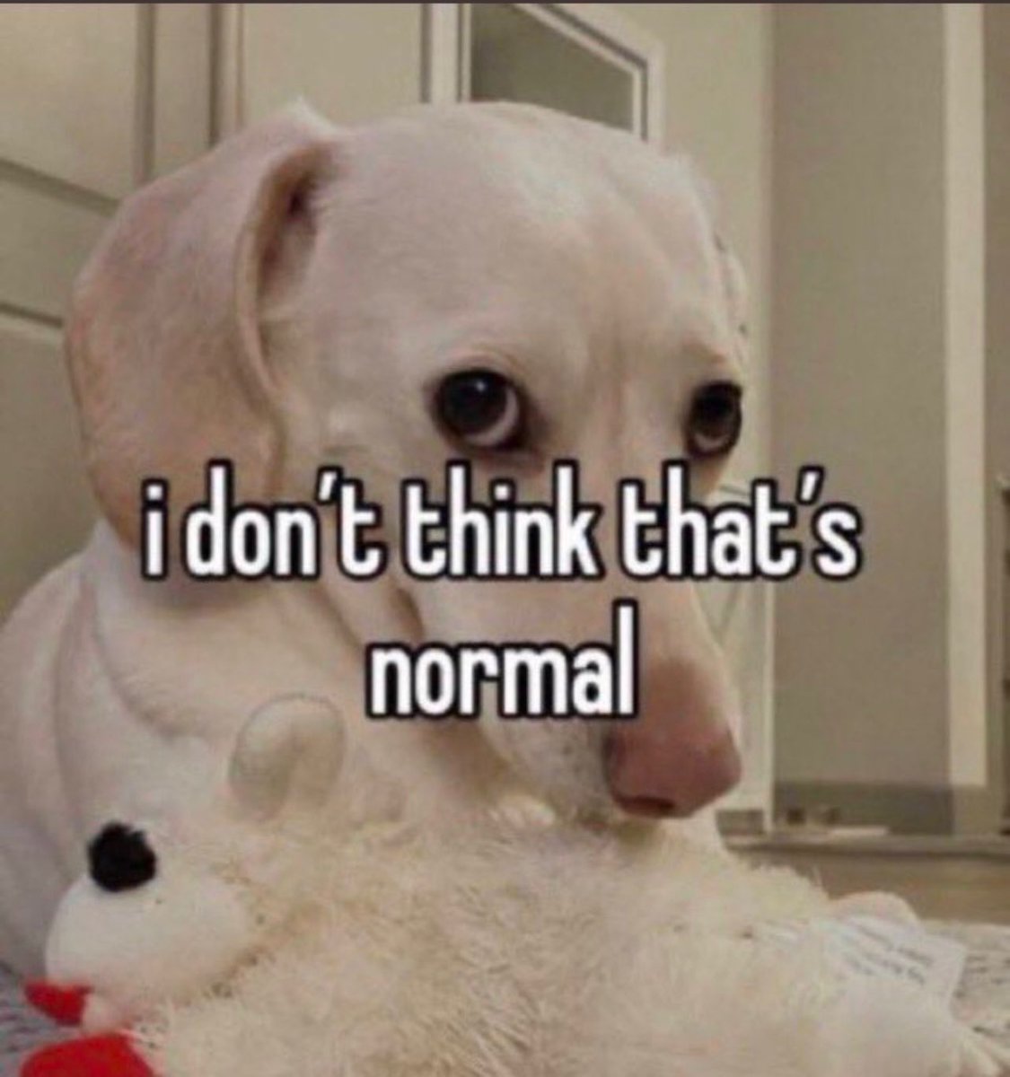 meme_reacts's tweet photo. https://t.co/ZgXfdSZdNB