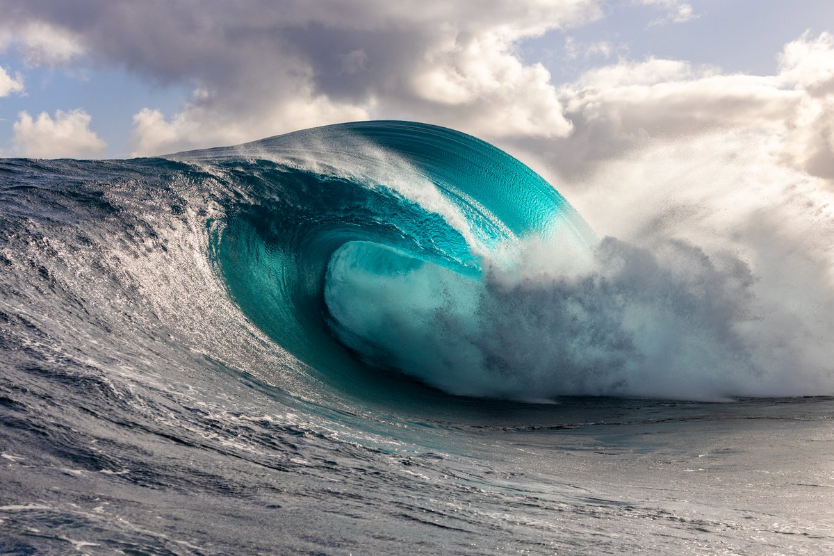 Two and a half months ago I was watching my camera having a swim inside its water housing. This is a result of the first shoot with its replacement - The Canon R5

"Electric" via <a href="/manifoldxyz/">manifold.xyz</a> owned by the legend <a href="/ModeratsArt/">ModeratsArt</a> Thankyou for all the inspiration and Motivation.