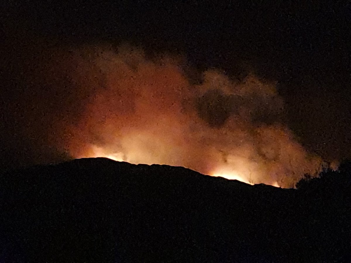 Hi folks. It's me <a href="/IrishRainforest/">Eoghan Daltun 🌍</a> back again, and today I'd like to look at how nature is doing on our generation's watch.

The answer is that it could scarcely be worse. Nature is rapidly blinking out all around us.

And no, that is NOT hyperbole.

All the science confirms it.