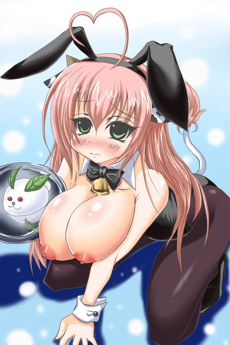 ←新旧→ホル子ちゃん
育ちましたね、いろいろと・・・ 