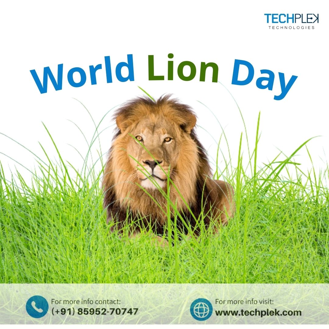 techplek01's tweet photo. Let us all take an oath on this World Lion Day to help and save the natural habitat of our king of the jungle. Happy Lion Day!
#Awareness #WorldLionDay #Lion #conservation #bigcats #techplek #techplektechnologies #digitalmarketingdukaan #digitalmarketingindia #CatsOfTwitter https://t.co/t6Z9HZeKHX