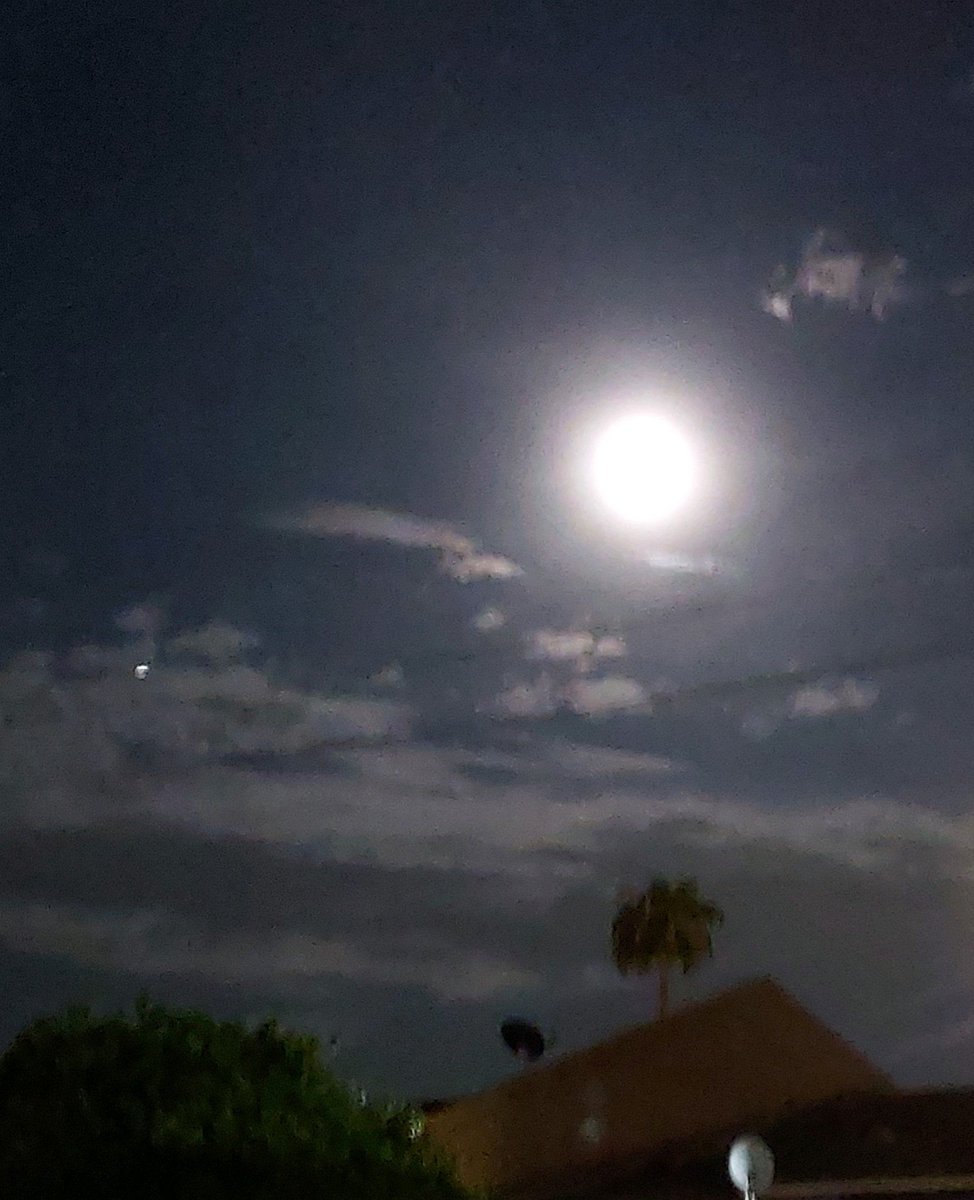 AmyBudafullDis1's tweet photo. 👁🌿👁 when ur family knows if they send ya pic #1 👁🌿👁 MY #nerdygirl #adhdtwitter #naturelover 🍃 #NaturePhotography ass👁🗯will send em back @ least 3📷🗯 #stonerchicks #clouds #Moon #Moonlight #moonshinemob #mothernaturerocks #azmoon https://t.co/FDLRsH7pca