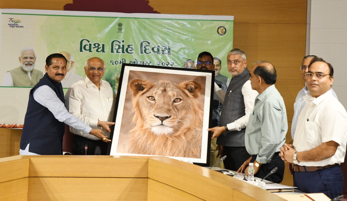 મુખ્યમંત્રી શ્રી ભૂપેન્દ્ર પટેલ વિશ્વ સિંહ દિવસ નિમિત્તે વન વિભાગ દ્વારા કરવામાં આવેલ ઉજવણીમાં વીડિયો કોન્ફરન્સના માધ્યમથી સહભાગી થયા હતા તથા ગુજરાતના ગૌરવ સમાન સિંહોના સંરક્ષણ, સંવર્ધન અને લોકજાગૃતિ ઊજાગર કરવા માટે વધુ અસરકારક પગલાંઓ લેવા રાજ્ય સરકારની કટિબદ્ધતા વ્યક્ત કરી હતી.