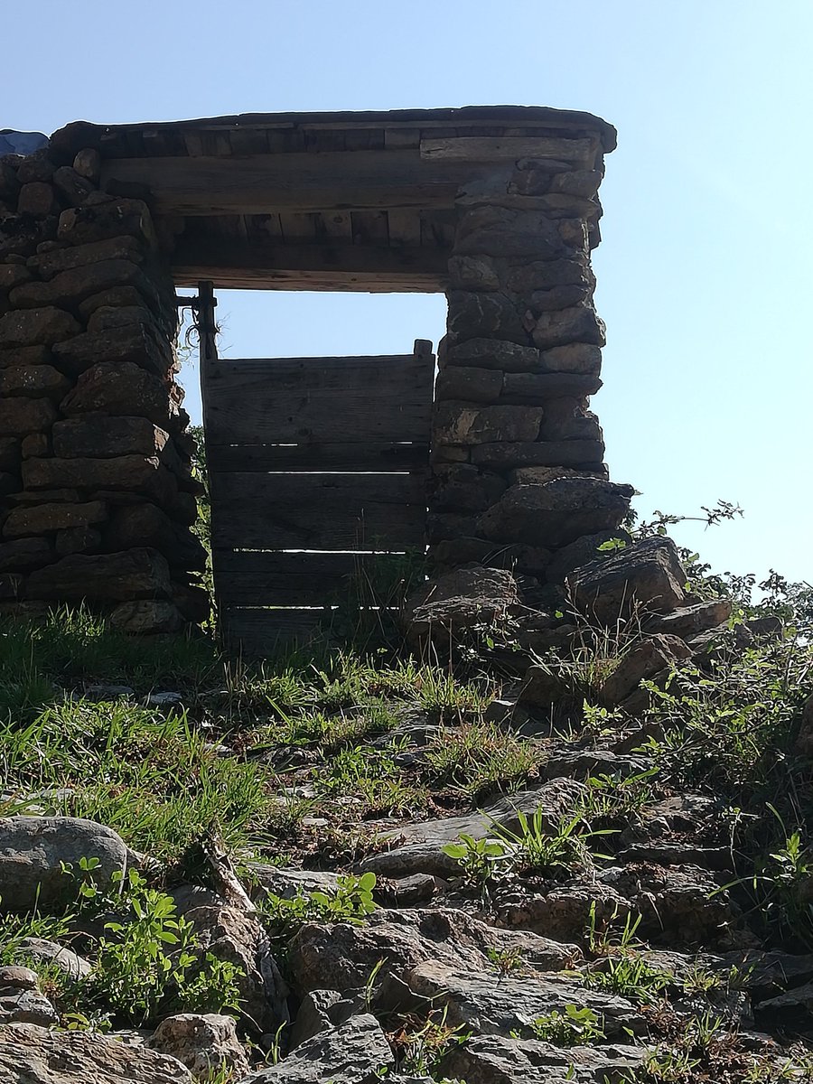 nmoradell1's tweet photo. Porta i paret #mónrural #caminsempedrats #Valld'Assua #PallarsSobirà #estiu22 https://t.co/hDteXR8Ne1