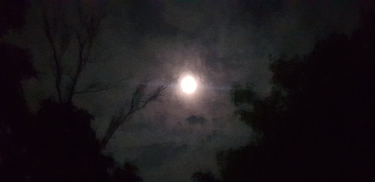 Arshi7Khan's tweet photo. Spread your light the way, a lonely moon does in the darkest sky.
It's not elicited by the darkness around it.
It does, what it's created for!
_Arshi Alvi
#MyLensMyQuote
#Moonlight
#DarkestSky
#MoonTalks
#skygazer https://t.co/Jpoll61Ba7