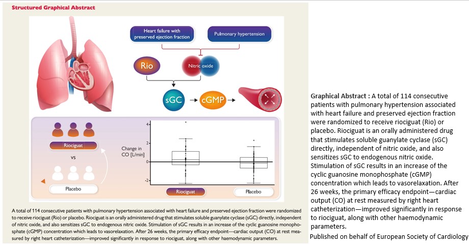 ESC_Journals's tweet photo. Riociguat in pulmonary hypertension and heart failure with preserved ejection fraction: the haemoDYNAMIC trial: https://t.co/5DEyYO5FLG 

@escardio #EHJ #ESCYoung @ehj_ed @rladeiraslopes https://t.co/WOhzWGUfQu