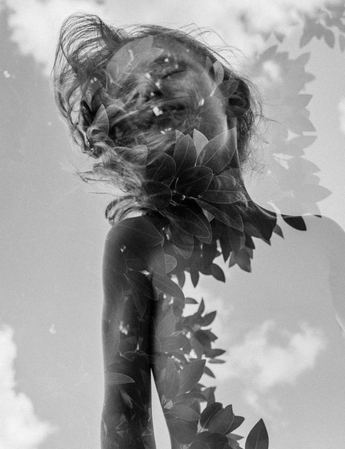 NFTPhotographers.xyz tweet media