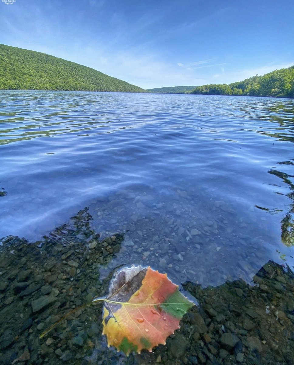 breezy413's tweet image. The Beauty Around Us ♥️ look around and enjoy  photo credit the amazing John Kucko  #FallLoading my favorite season