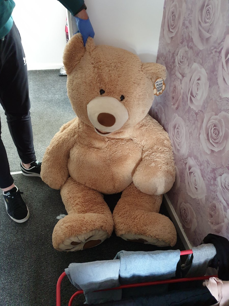 #JAILED | When we saw this large bear breathing during a hunt for a thief we thought something wasn't right... then we found our suspect stuffed inside!

Joshua Dodson (18) stole a car while disqualified &amp; filled up for fuel without paying. He's sentenced to nine months in jail.