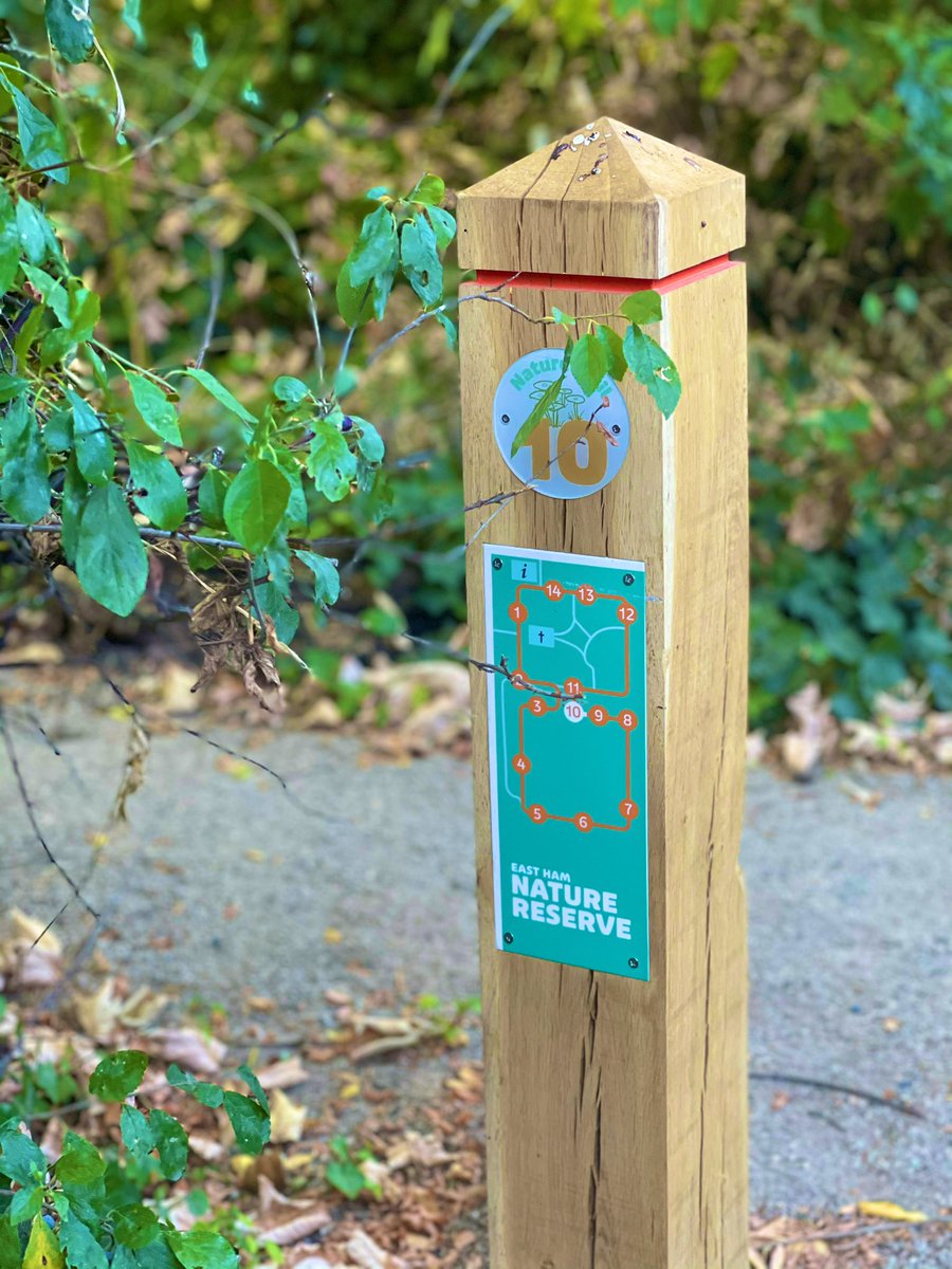 _DoodlingAround's tweet photo. Jumping for joy! A year in the making my commission from @NewhamShape transforming East Ham Nature Reserve @NewhamLondon. I’ve created new signage, gates &amp; grilles, a hand painted mural, wayfinding posts &amp; chalkboards. The reserve has just been awarded a @GreenFlagAward do visit https://t.co/DxLB2Aqy9y