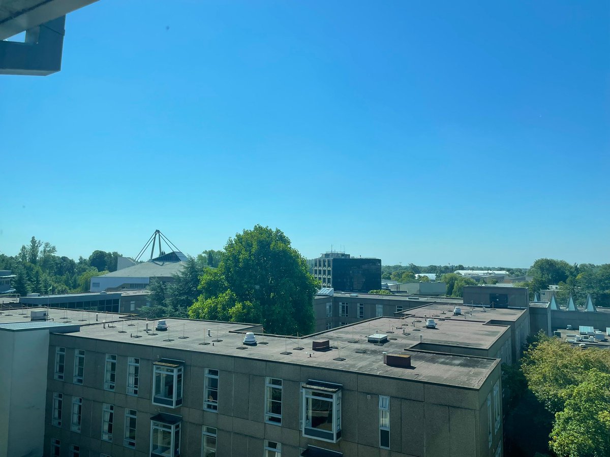 What a view from our new office😍 Its great to have the team in on campus today🌲🏢🌳(and with a fan too...)