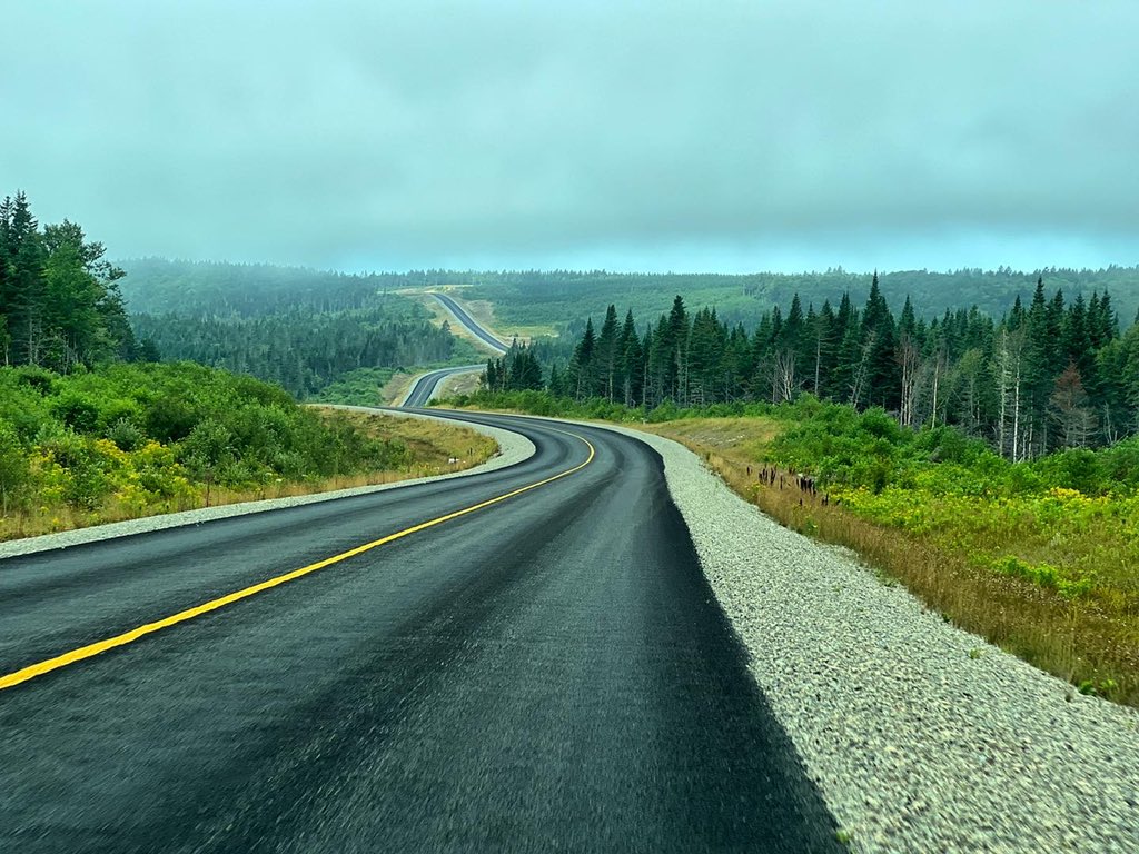 TRAVELDAVEUK tweet media