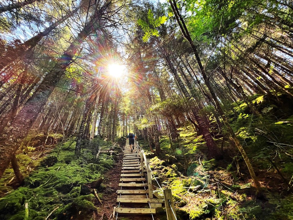 TRAVELDAVEUK tweet media