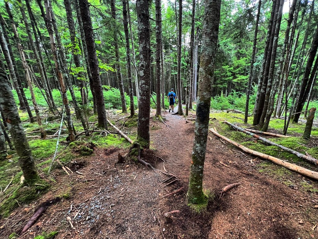 TRAVELDAVEUK tweet media