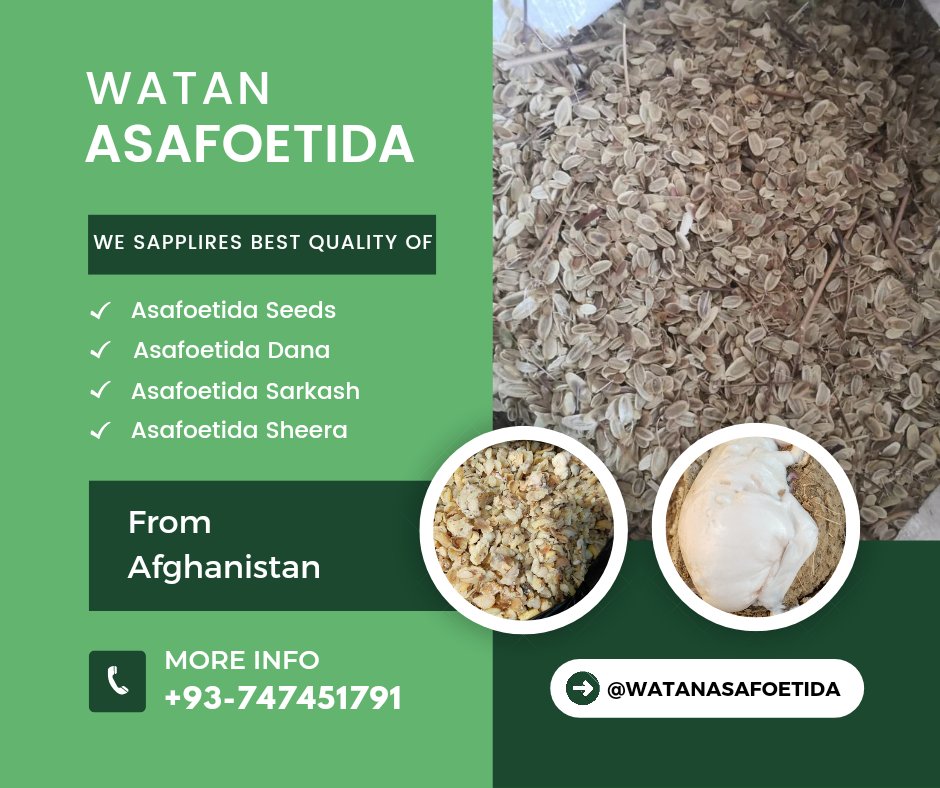 Asafetida Seeds