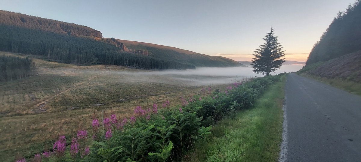 jj99211's tweet image. Some pictures of #LEL2022 Day 4. Lovely sunrise over Scotland.

@pakefte @BiciVivir @FECT_oficial 
@CD_Ciclocubin @LEL1500km