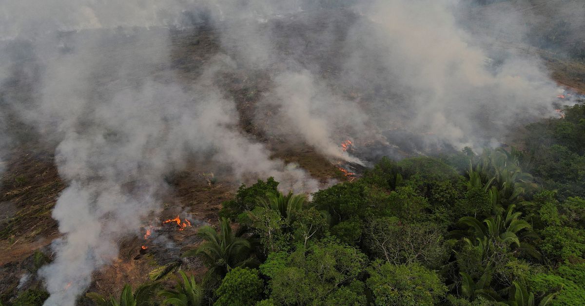 Explainer: Causes and consequences of Amazon fires and deforestation reut.rs/3pebvpq