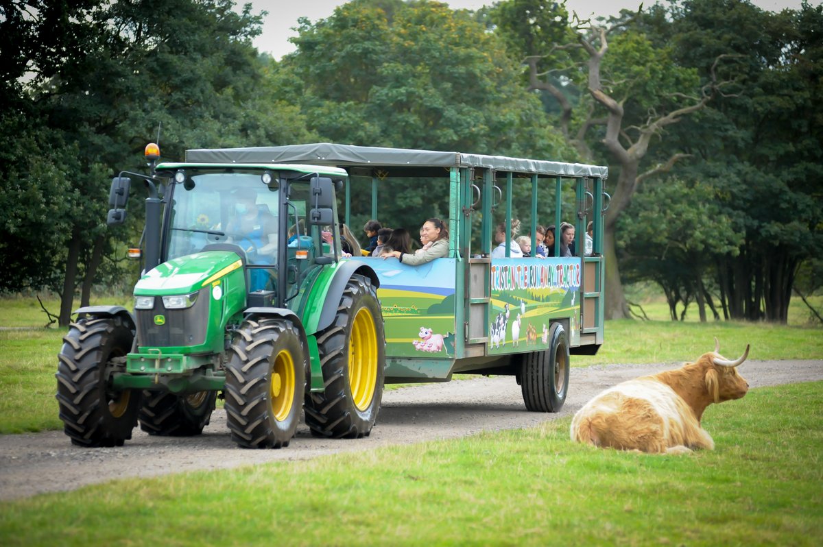 Willows ActivityFarm tweet media