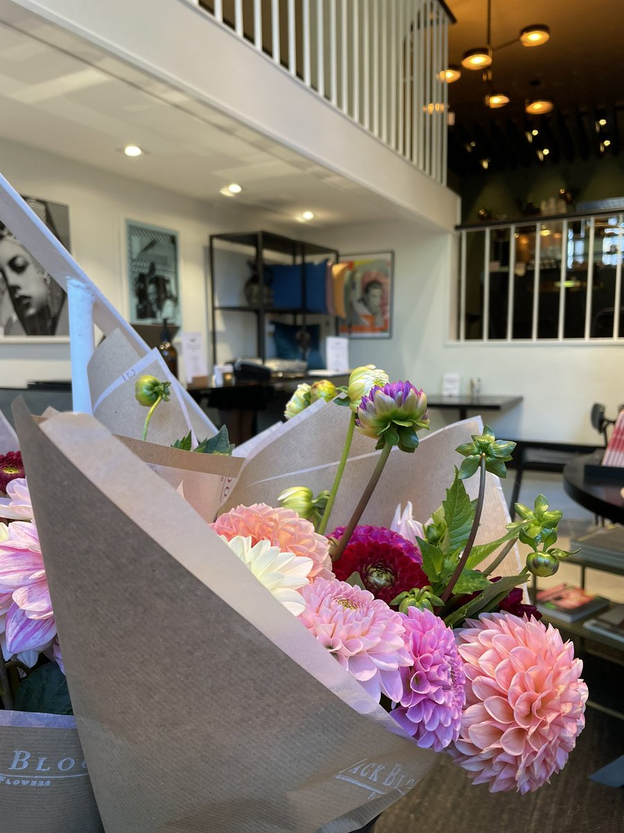 Alex Jack tweet media