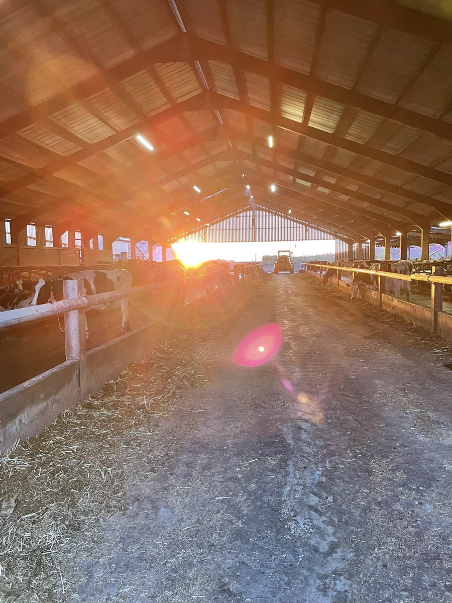 Alex Jack tweet media