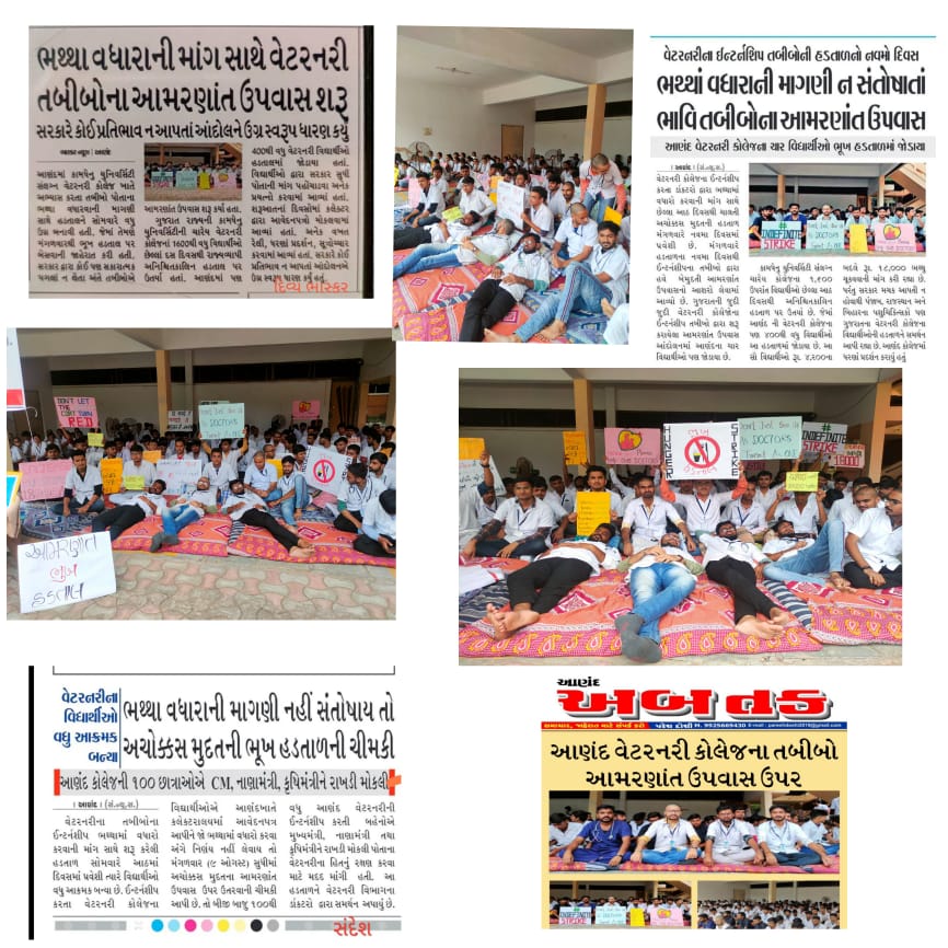 जो संघर्ष की राह पर चलता है
एक दिन वो महान जरूर बनता है.
Hats off to our Heroes #indefinite_hunger_strike
#Day_10_of_guj_vets_on_strike
#Increase_Guj_Vet_Stipend
#Guj_vet_union <a href="/CMOGuj/">CMO Gujarat</a> <a href="/Bhupendrapbjp/">Bhupendra Patel</a> <a href="/KanuDesai180/">Kanu Desai</a>  <a href="/CRPaatil/">C R Paatil</a> <a href="/BJP4Gujarat/">BJP Gujarat</a> <a href="/INCGujarat/">Gujarat Congress</a> <a href="/sandeshnews/">Sandesh</a> <a href="/gujratsamachar/">Gujarat Samachar</a>