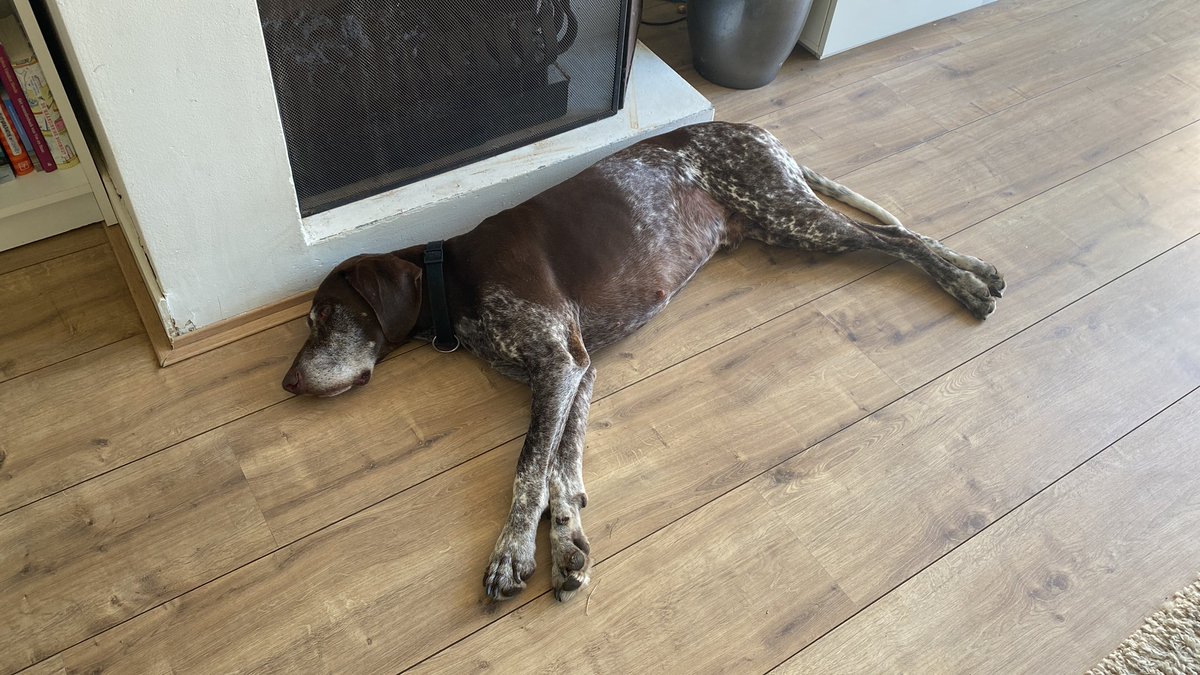 Vera Schoenmakers5VS tweet media