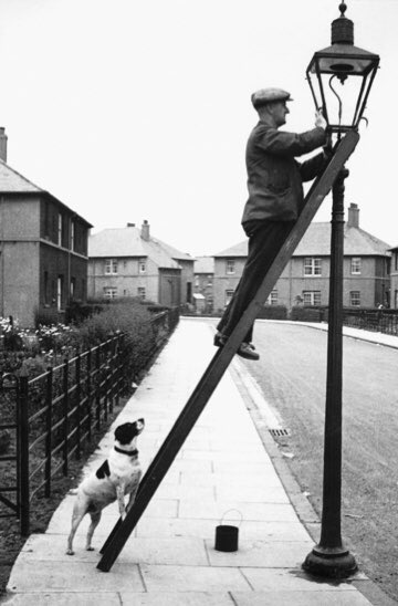 This month’s @explorearchives theme is Animals and it might just be our favourite month so far! 
Here’s a picture of a workman repairing a streetlight and his helpful assistant.
📸’Lamp Lighter - Jackson Avenue’ by John P. Munn (1937) at Falkirk Council Archives. #EYADay