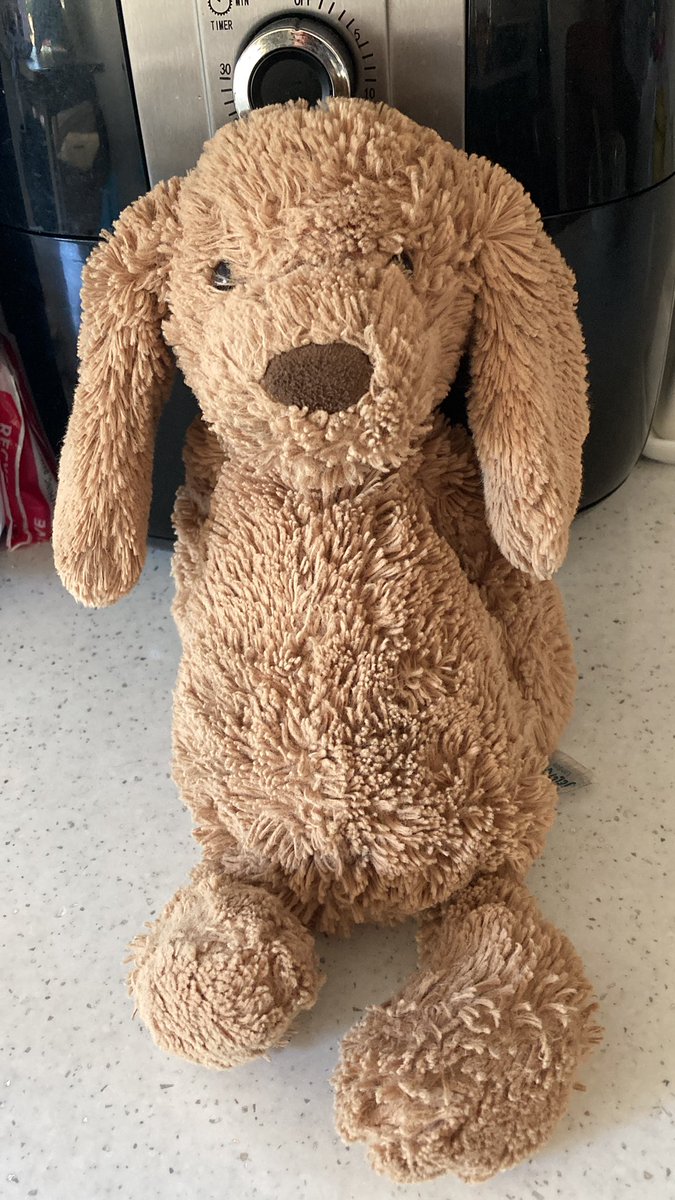 Found this on hove seafront. Please share, so it can be reunited with owner. 🐶