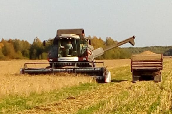 Уборочная кампания идет в 17 районах Ивановской области, собрано свыше 28 тыс. тонн зерна 
vlast.io/uborochnaya-ka…
vlast.io/wp-content/upl…