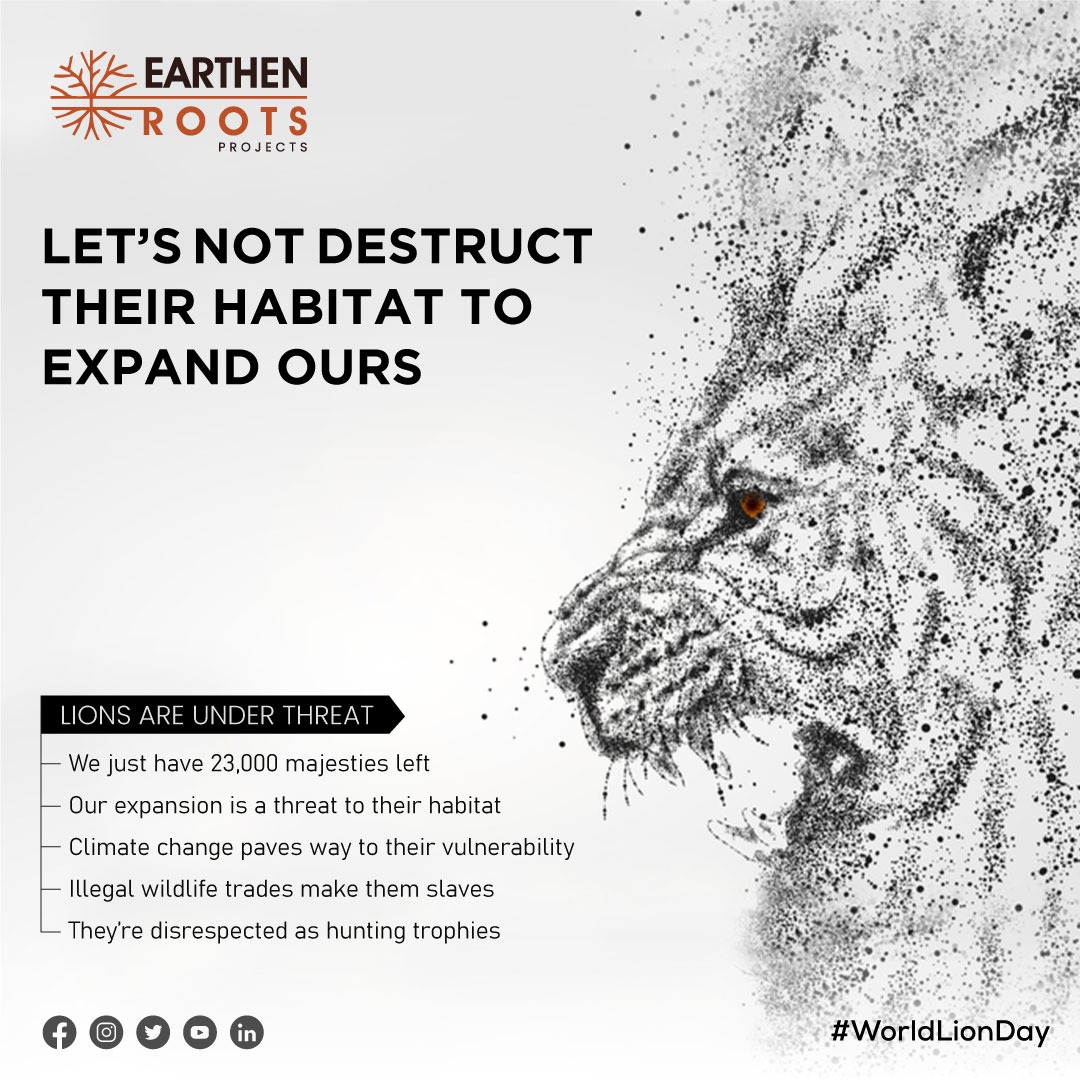 RootsEarthen's tweet photo. Are you aware that the lion population has decreased by a whopping 43% in the world? On this significant day, let’s join hands as we contribute to replenish their population.
#lionsday #worldlionsday #savelions #saveforests #kingofjungle #wildlife #nativefarms #earthenroots https://t.co/Qxpe9NJOpD
