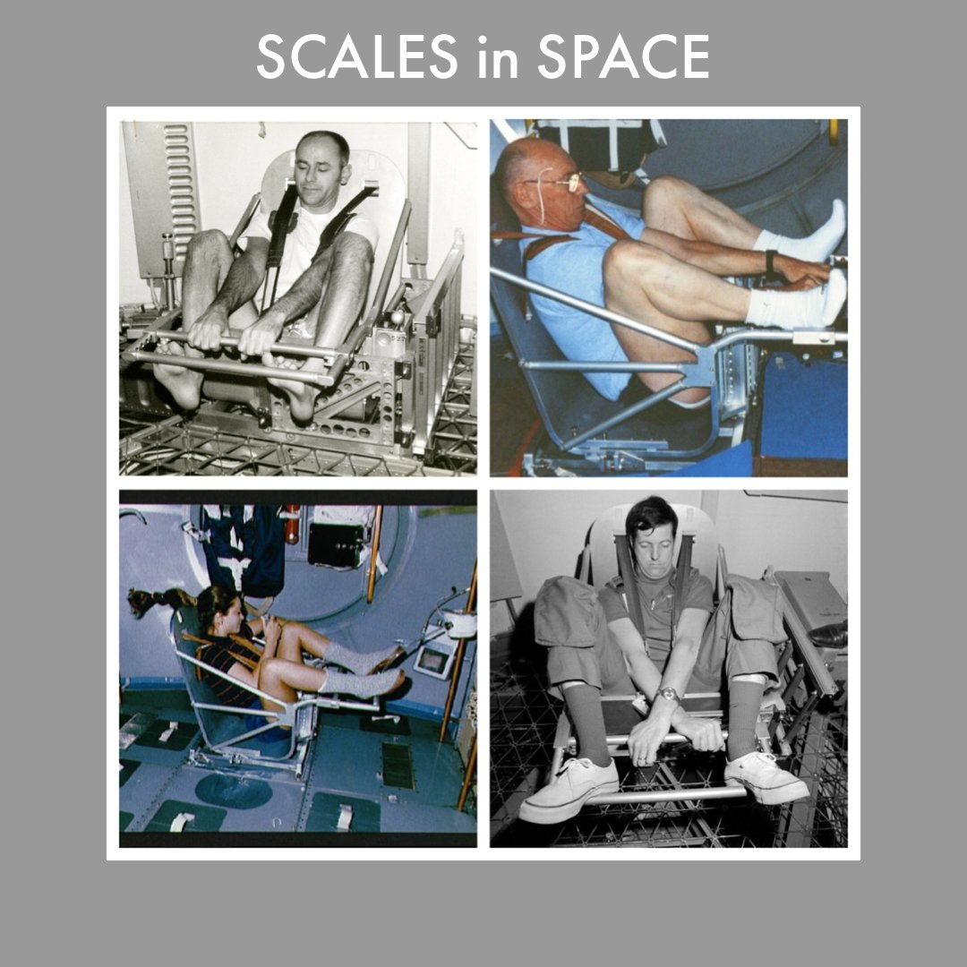 SF_Skylab's tweet photo. Dr. Thornton of Skylab and SMEAT fame invented a chair-like device used for measuring the mass of astronauts while in space. The mysterious shaky chair later flew on the shuttle!
#inventorsday #inventor #smeat #williamthornton #space #documentary #searchingforskylab #nasa #skylab https://t.co/BS3syFhOPw