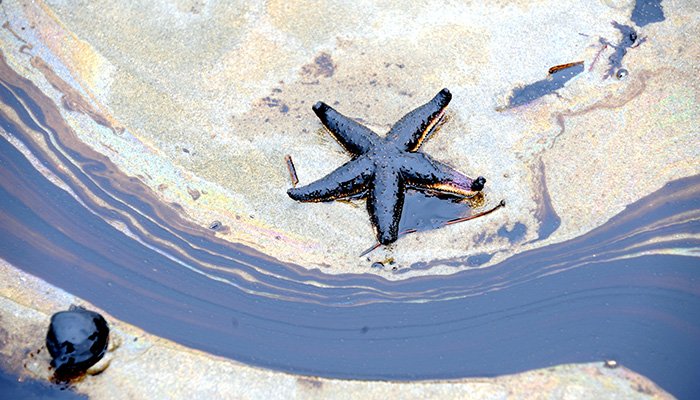 ComRiskOnline's tweet image. Europe’s insurers back ELD review but warn against mandatory coverage
ow.ly/smWM50Kgvgm

#Riskmanagement #Risk #EuropeInsurance #liabilityInsurance #TheEuropeanCommission @EU_Commission