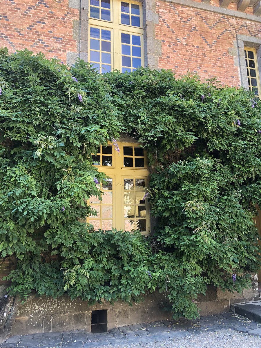 _smallsunlight's tweet photo. 🏰 🥰 https://t.co/uRNDAZGXFE