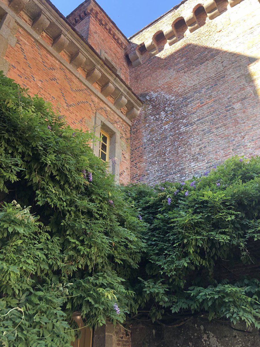 _smallsunlight's tweet photo. 🏰 🥰 https://t.co/uRNDAZGXFE