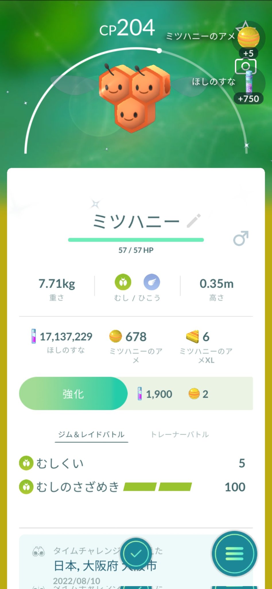 色違いミツハニー Twitter 搜尋 Twitter