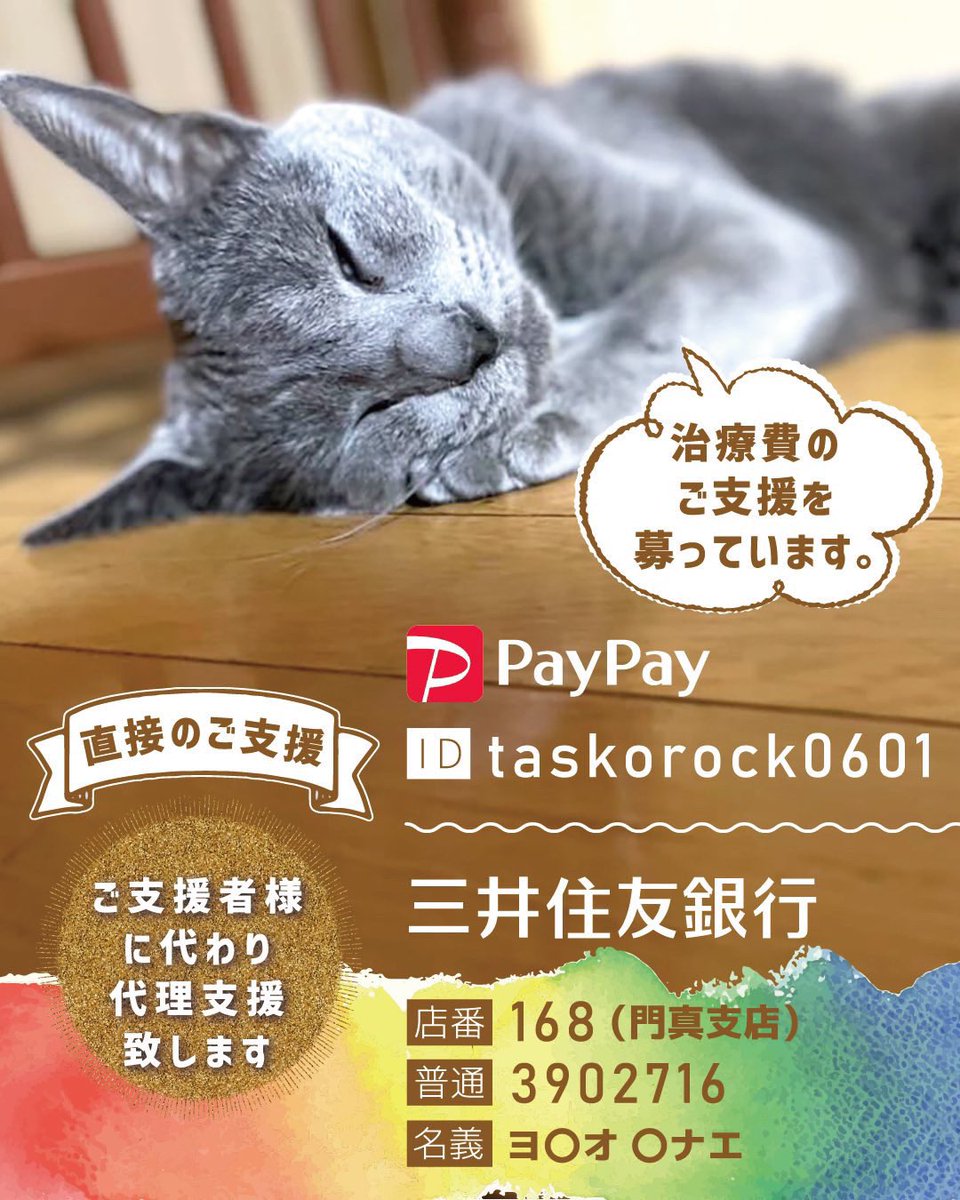 MozukuRescue's tweet photo. 【お知らせ】この場を借りて皆様に拡散応援のお願いです。誠に勝手なお願いではありますが私の家族　もずく（１歳）が猫伝染性腹膜炎（FIP）という致死率100%の難病と闘っています。https://t.co/o95o2GVHcRご一読頂ければ幸いです。優しい輪でもずくを繋いでくれませんか？よろしくお願いします🙏 https://t.co/7QvWj9iLK6