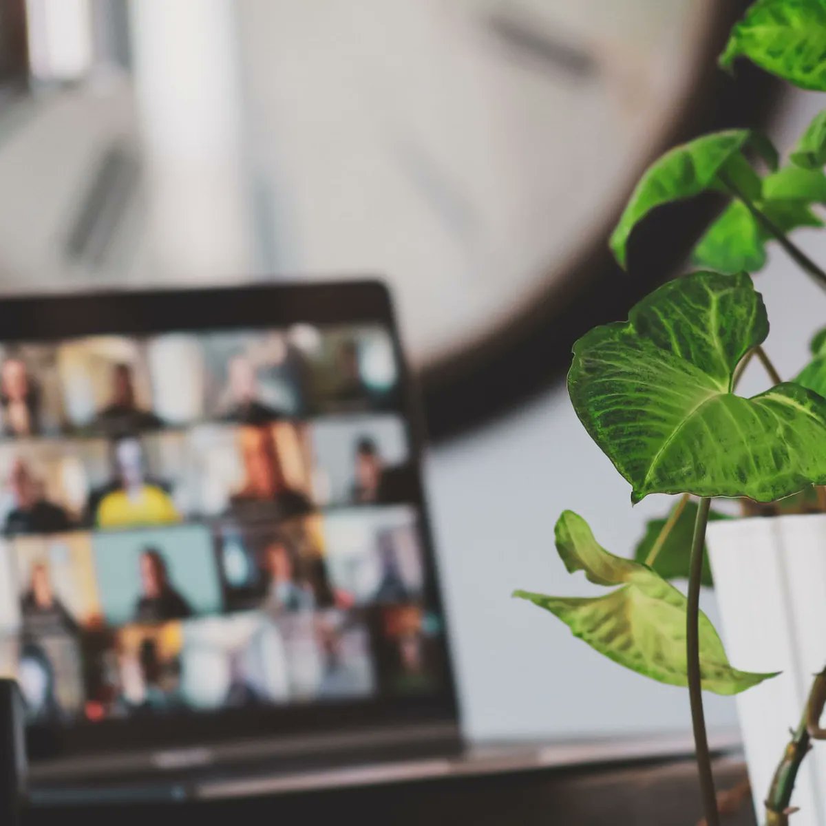 DropaloOfficial's tweet photo. Dropalo is launching soon to provide users with the ability to engage with others in their local community and leverage their personal data for their own advantage. Get started today: https://t.co/YD2aC5iwln #Dropalo #Flux #KDA https://t.co/u9oBbXFC5H