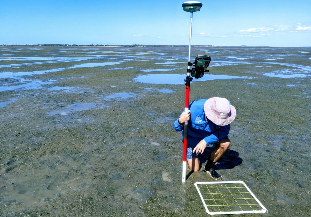 CMERC - Coastal Marine Ecosystems Research Centre tweet media