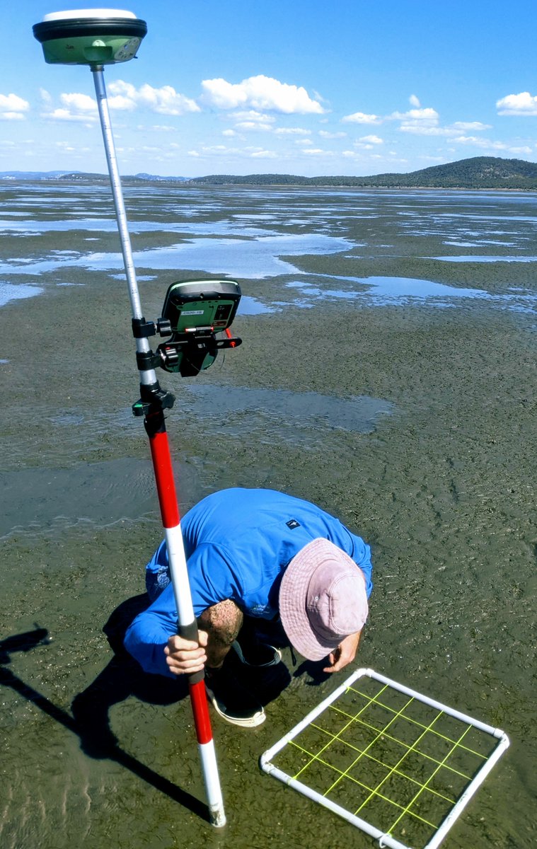 CMERC - Coastal Marine Ecosystems Research Centre tweet media