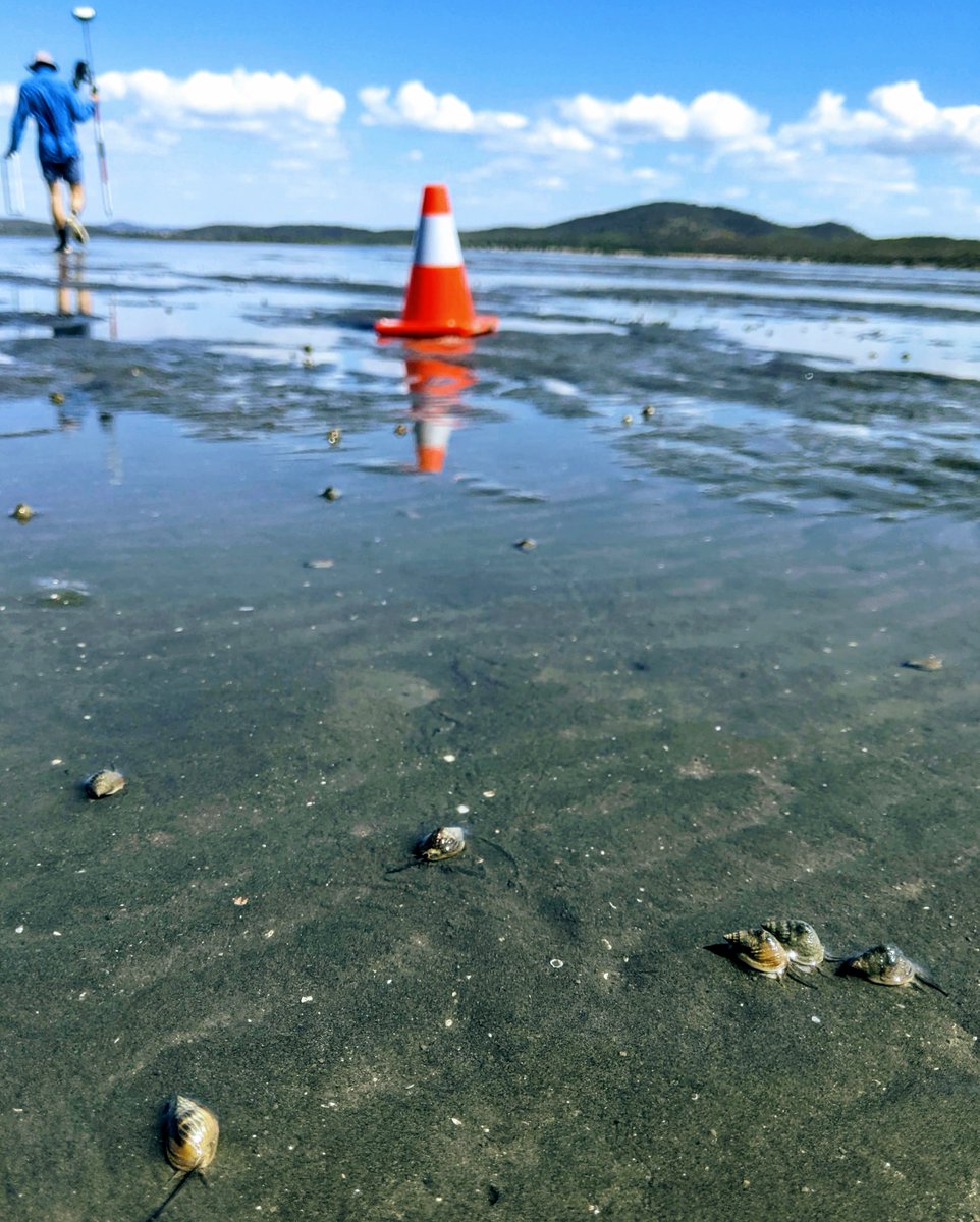 CMERC - Coastal Marine Ecosystems Research Centre tweet media