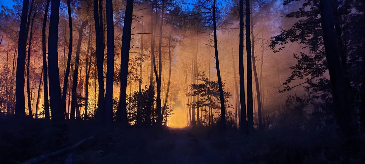 🚨// #interventionencours | Clefs Val d'Anjou - <a href="/baugeenanjou/">Baugé-en-Anjou</a>
Point de situation à 7h, l’incendie qui fait rage n’est pas maîtrisé
1️⃣2️⃣4️⃣0️⃣ hectares partis en fumée
3️⃣7️⃣7️⃣ SP engagés pour combattre les flammes
2️⃣2️⃣ points sensibles en cours de protection
7️⃣0️⃣ pers évacuées