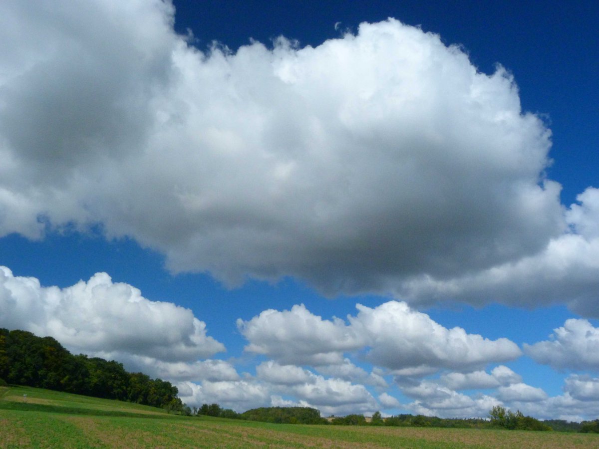 LincolnLWeight's tweet photo. cumulus mid https://t.co/wixAYGDaRQ