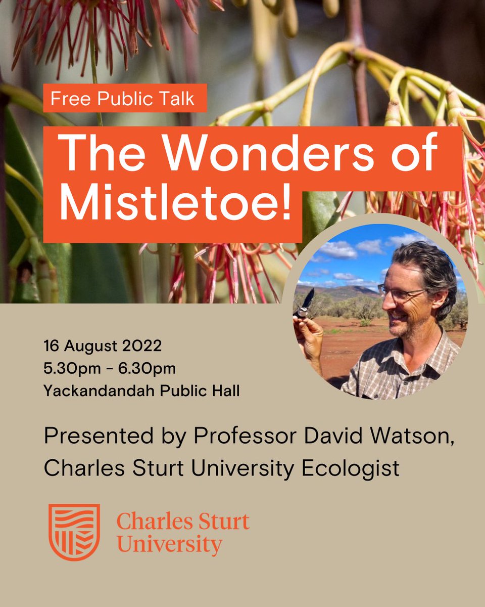 For those in the border region, I’ll be giving a talk about mistletoe next week, covering some recent discoveries about the ways these mysterious plants boost biodiversity and enhance ecosystem function. Not a zoom chat but an actual in person public talk. Woo hoo!