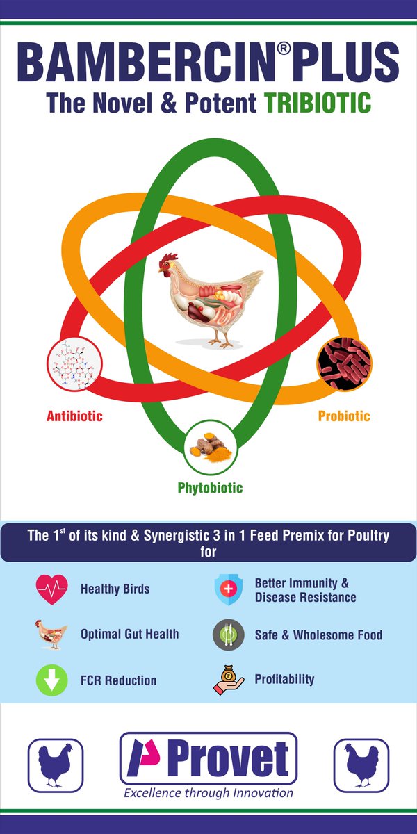 provetppl's tweet photo. BAMBERCIN®PLUS
The Novel & Potent Tribiotic (Antibiotic; Probiotic; Phytobiotic)
The first of its kind & synergistic 3 in 1 feed premix for poultry.
#Provetpharma #Avinova #BambercinPlus #Animalhealthcare #Poultry #FeedPremix https://t.co/uPqMQETcy8